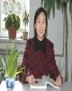 王秀云